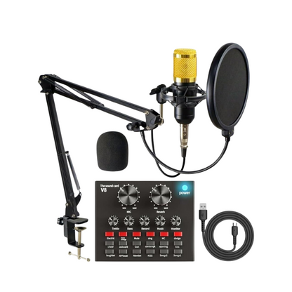 Singing Live Sound Card + Professional Condenser Microphone V8S